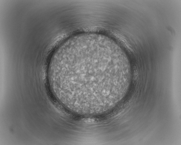 X0000114540687200911161358