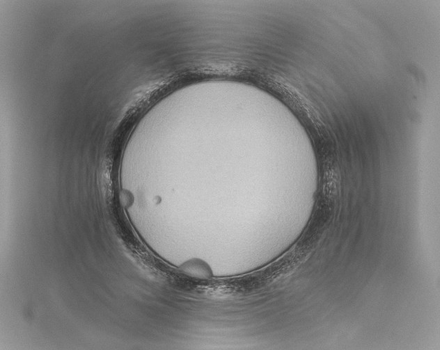 X0000114540688200911161358