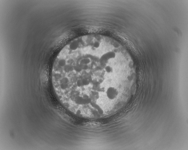 X0000114540691200911161358