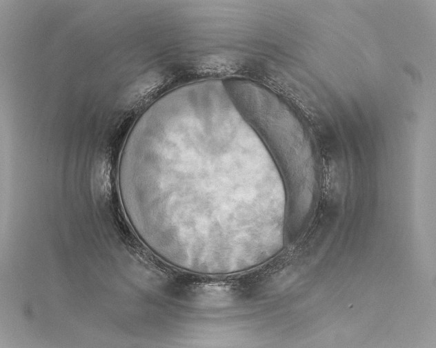 X0000114540692200911161358