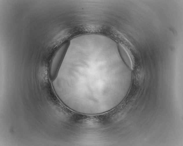 X0000114540696200911161358