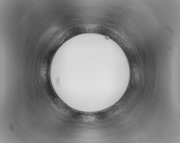 X0000114540698200911161358