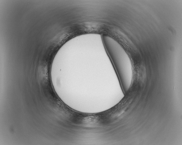 X0000114540700200911161358