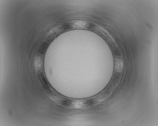 X0000114540701200911161358