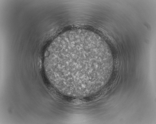 X0000114540703200911161358