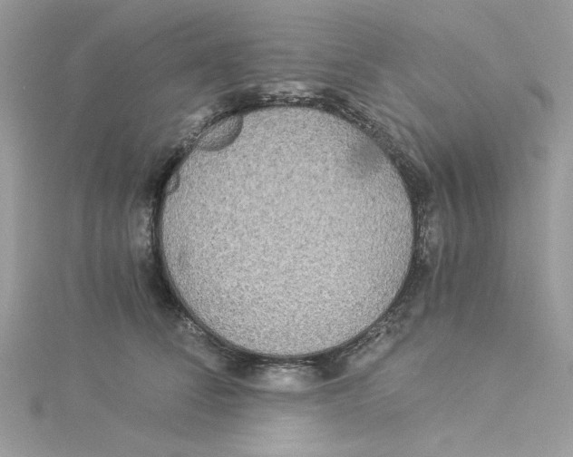 X0000114540708200911161357