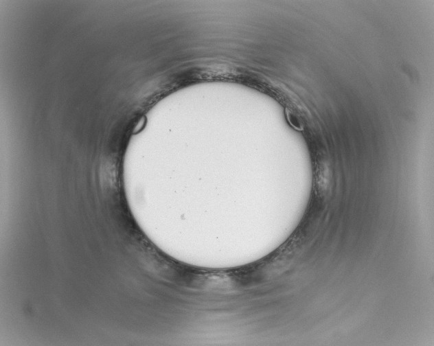 X0000114540715200911161357