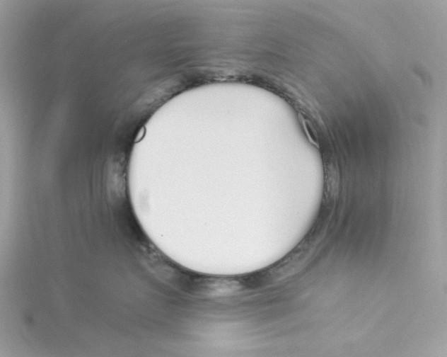 X0000114540719200911161357