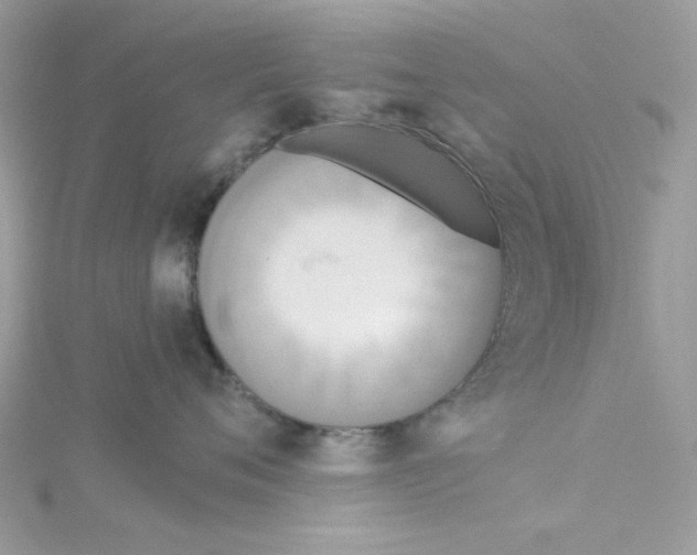 X0000114540720200911161357