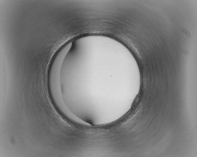 X0000114540721200911161357