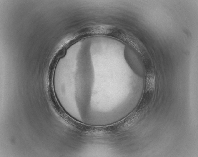 X0000114540726200911161357