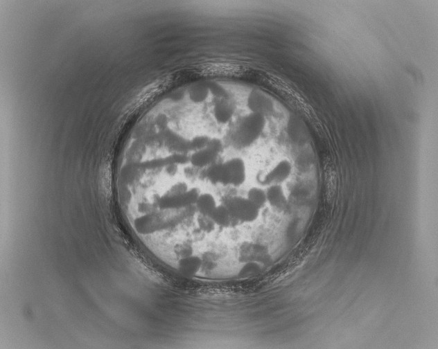 X0000114540729200911161357