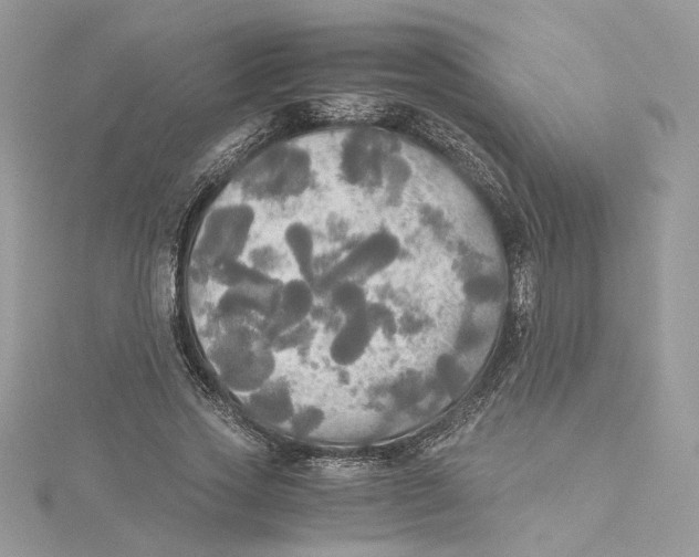 X0000114540733200911161357