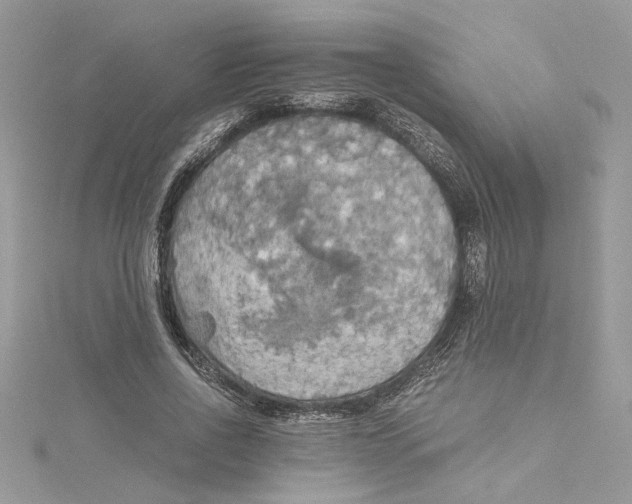 X0000114540734200911161357