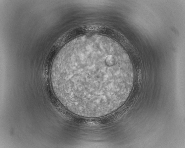 X0000114540737200911161357