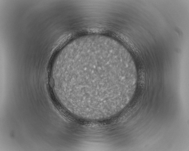 X0000114540738200911161357