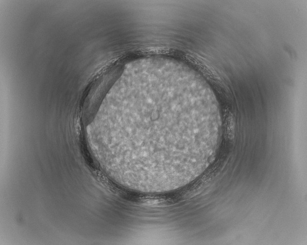 X0000114540746200911161357