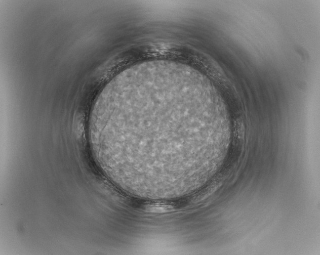 X0000114540754200911161357