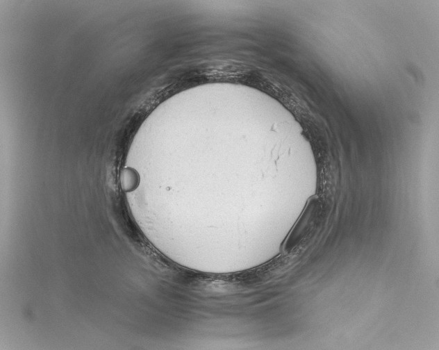 X0000114540755200911161357