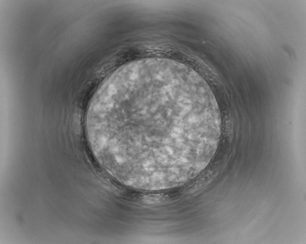 X0000114540757200911161357