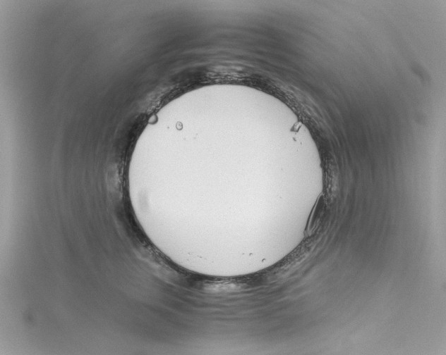 X0000114540759200911161357