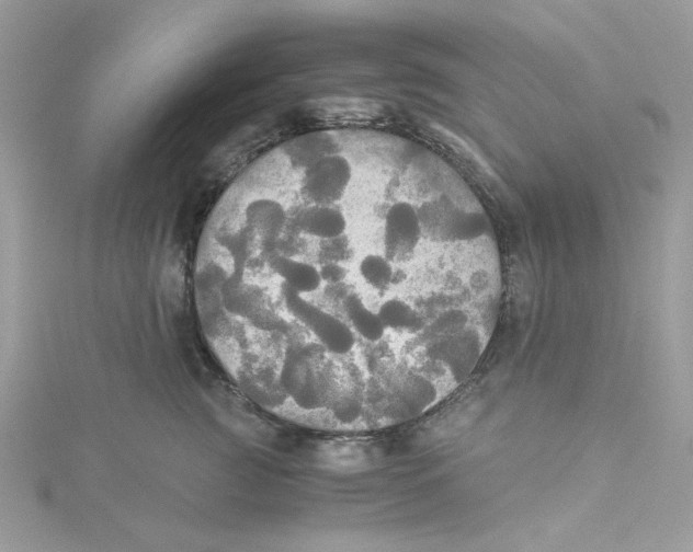 X0000114540761200911161357