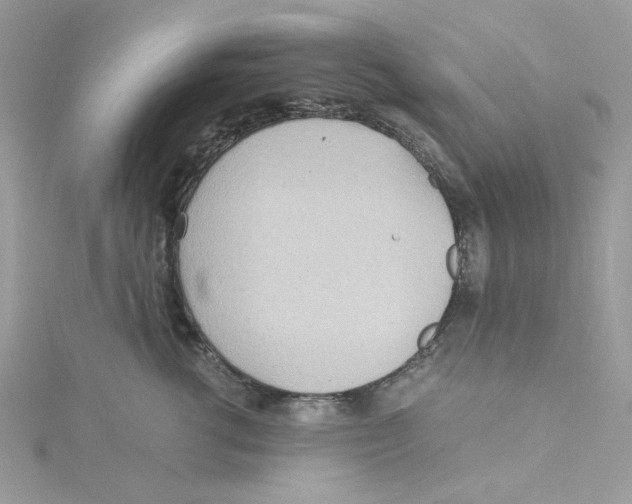 X0000114540762200911161357