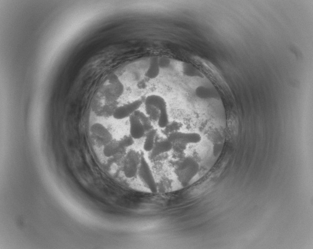 X0000114540765200911161357