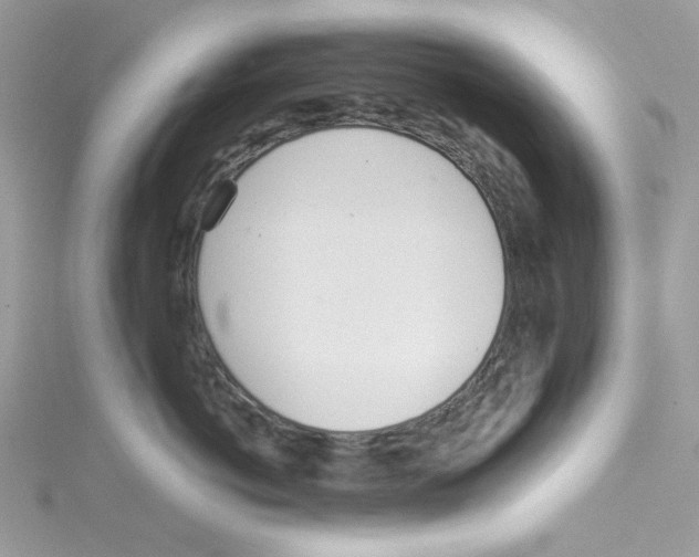 X0000114540766200911161357