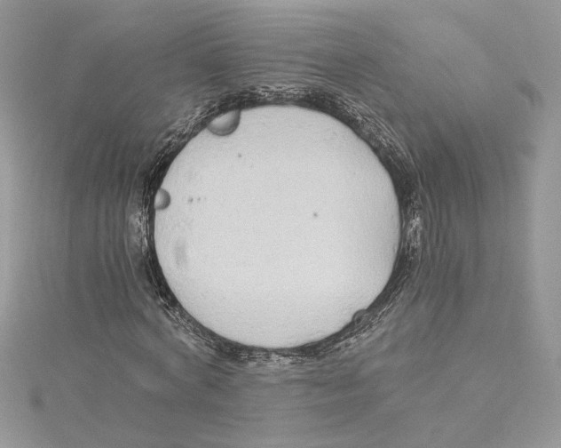 X0000114540772200911161357