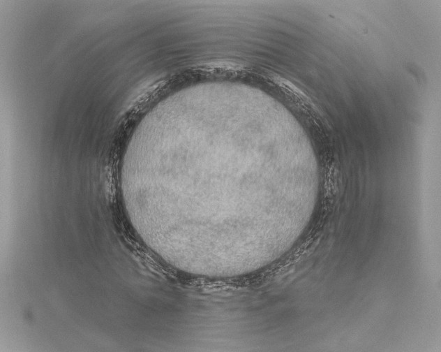 X0000114540774200911161357