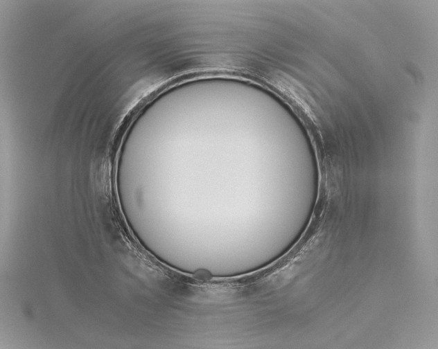 X0000114540781200911161357