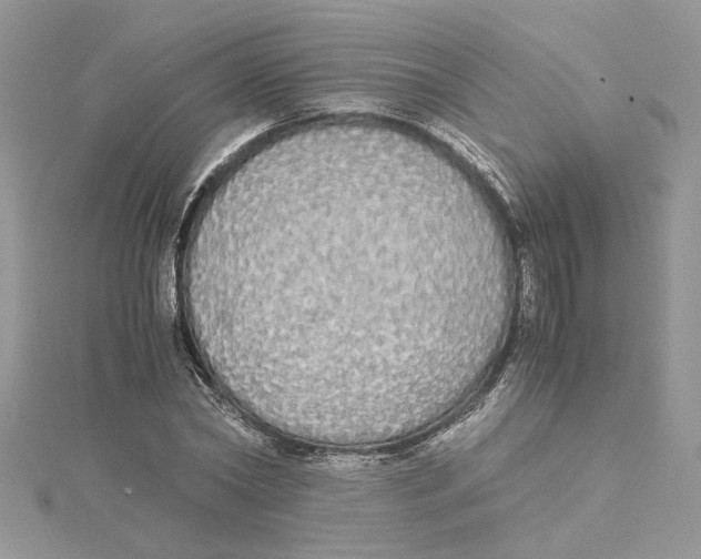 X0000114540782200911161356