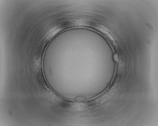 X0000114540785200911161356