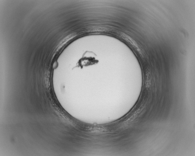 X0000114540786200911161356