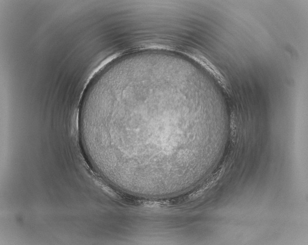 X0000114540790200911161356