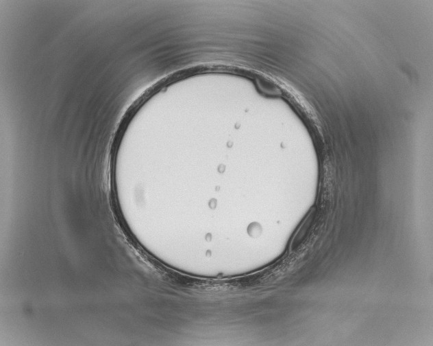 X0000114540791200911161356