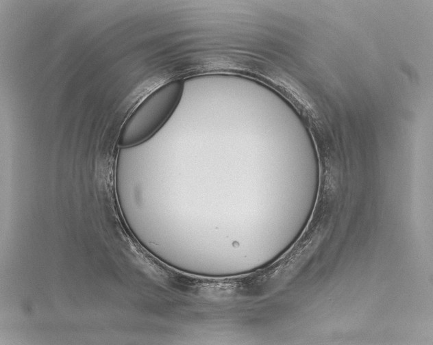 X0000114540793200911161356