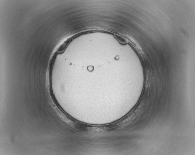 X0000114540796200911161356