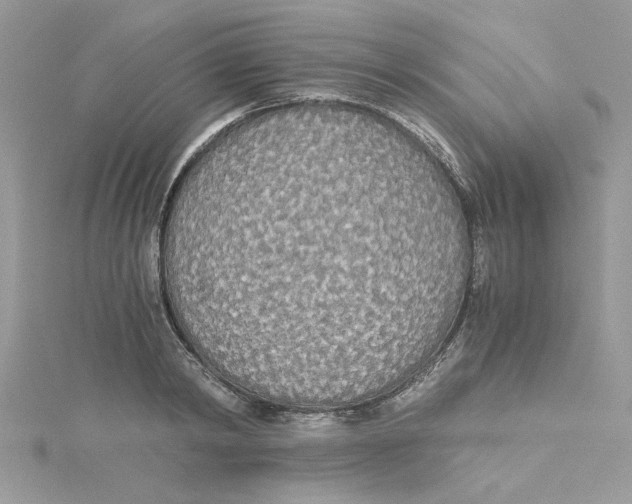 X0000114540798200911161356