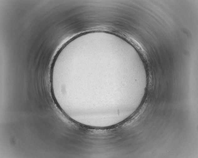 X0000114540800200911161356