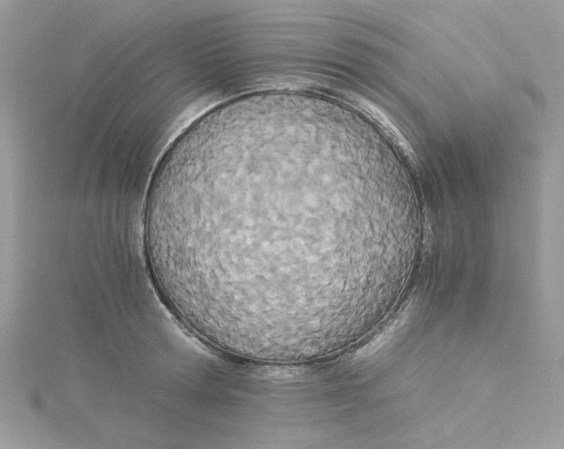 X0000114540802200911161356