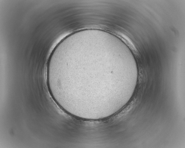 X0000114540804200911161356