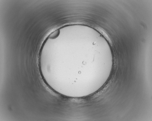 X0000114540805200911161356