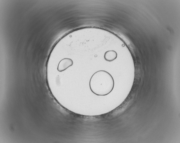 X0000114540807200911161356