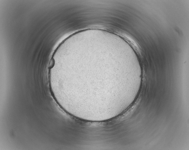 X0000114540808200911161356