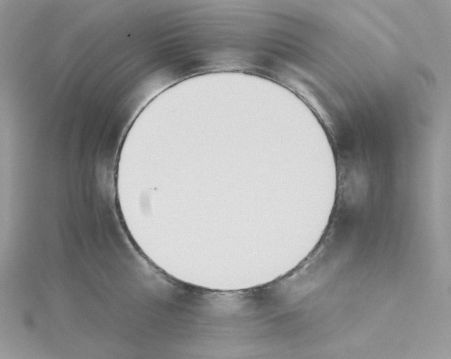 X0000114540810200911161356