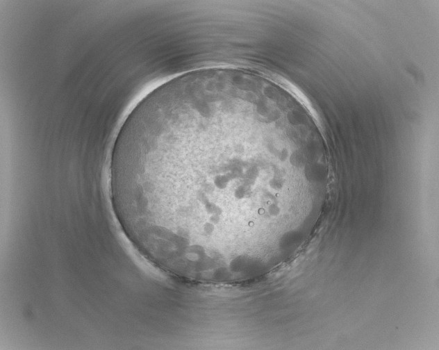 X0000114540811200911161356