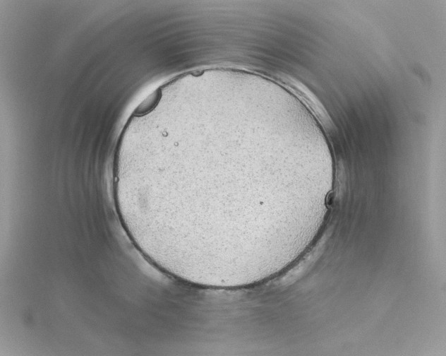 X0000114540812200911161356