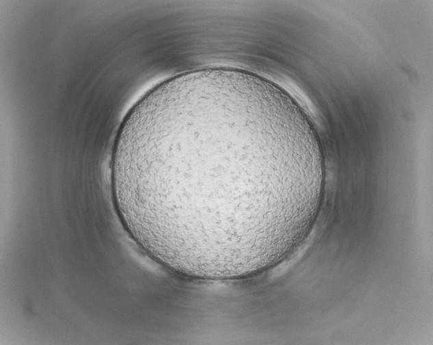 X0000114540814200911161356